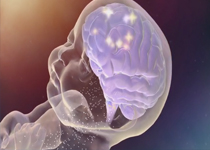 Hops and the brewing process 04:03